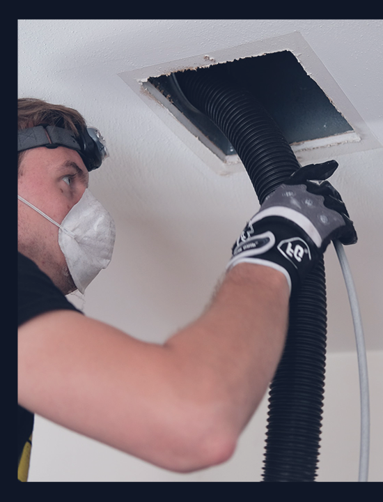 Mold and Dust Removal Service